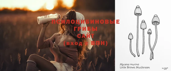 ГАЛЛЮЦИНОГЕННЫЕ ГРИБЫ Алексеевка