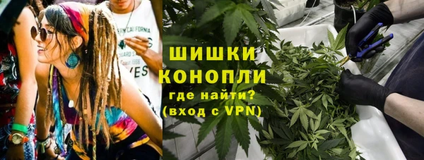 ГАЛЛЮЦИНОГЕННЫЕ ГРИБЫ Алексеевка