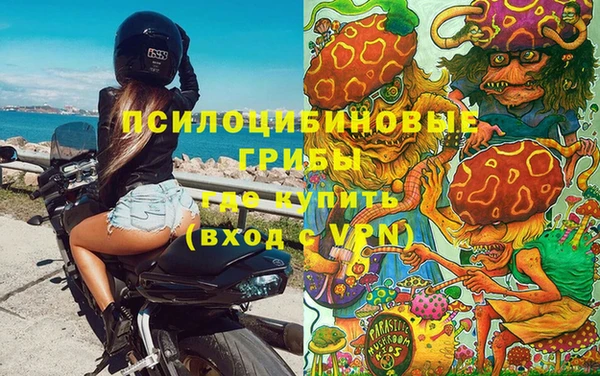 Альфа ПВП Алексин