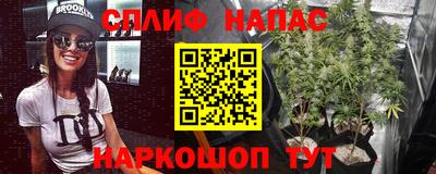 стаф Кулебаки